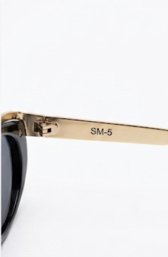 SM5 RAY 309