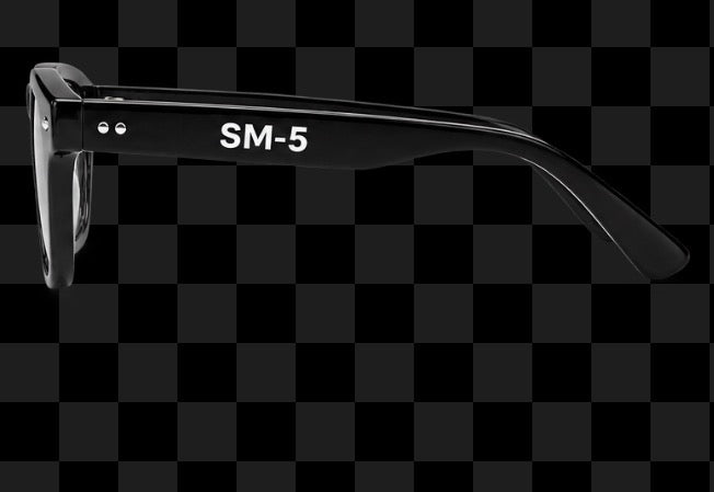 SM5 RAY 310